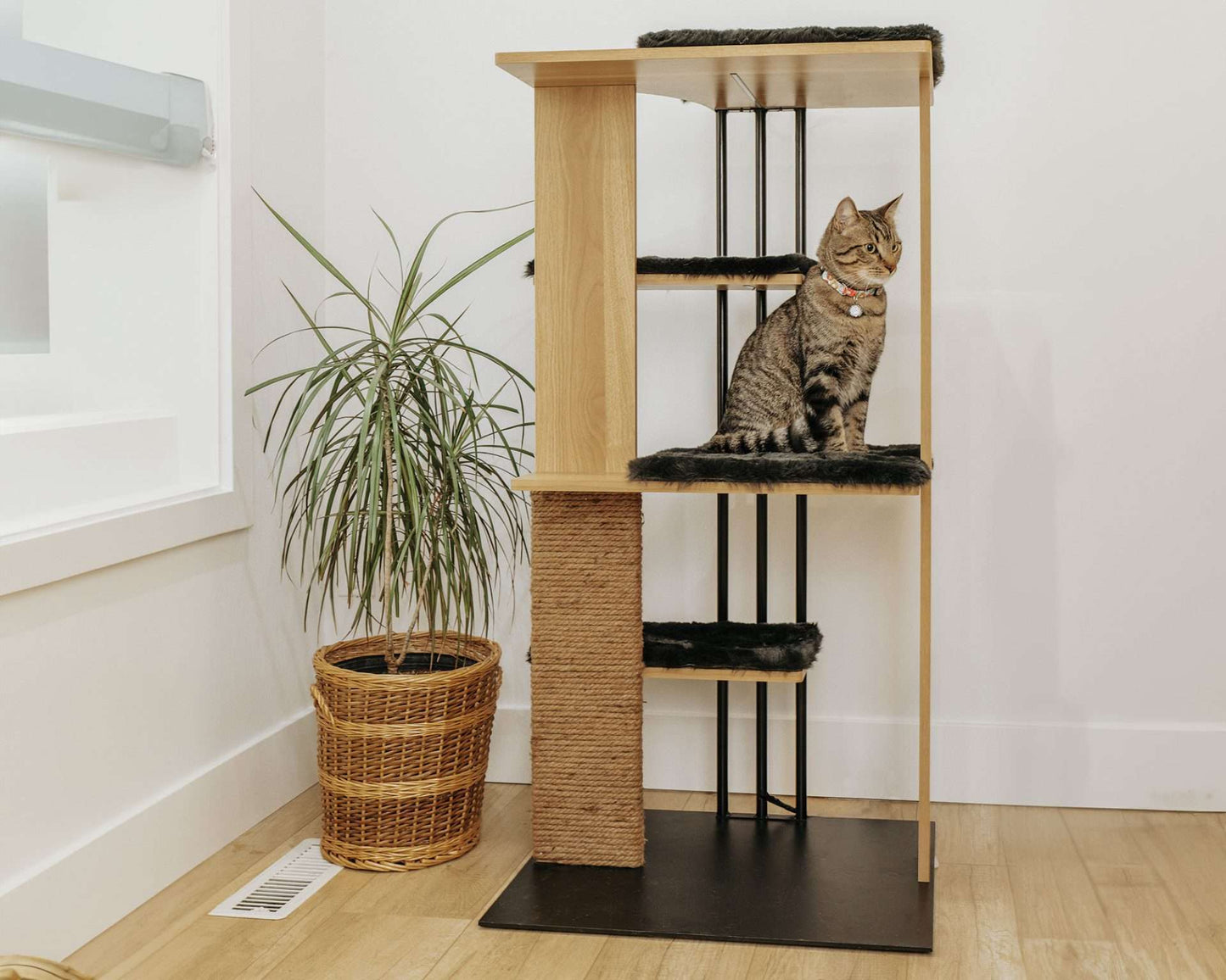 cali - cat tree -4 Cats & Dogs Home Furnishings Inc