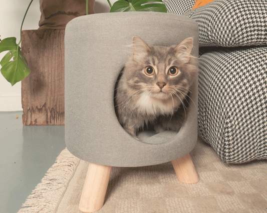 wallie pet stool-4 Cats & Dogs Home Furnishings Inc