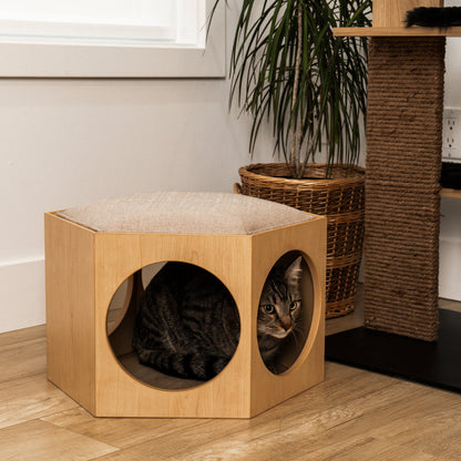 suki cat stool and shelf - 4 Cats & Dogs Home Furnishings Inc